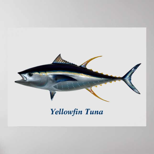 Yellowfin Tuna Poster (Front)