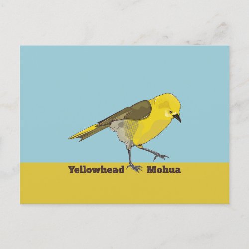 Yellowhead Mohua Postcard