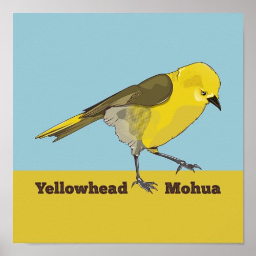 Yellowhead Mohua Poster