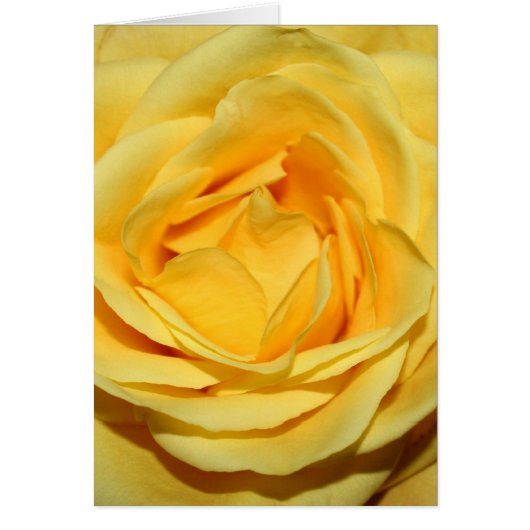 yellowrosecard (Front)