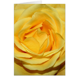 yellowrosecard cards