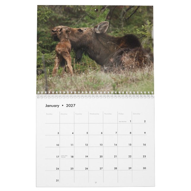 Yellowstone 2010 Calendar (Jan 2027)