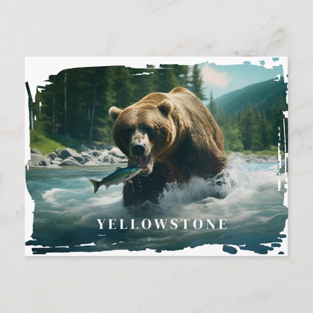 Yellowstone Bear Postcard (Front)