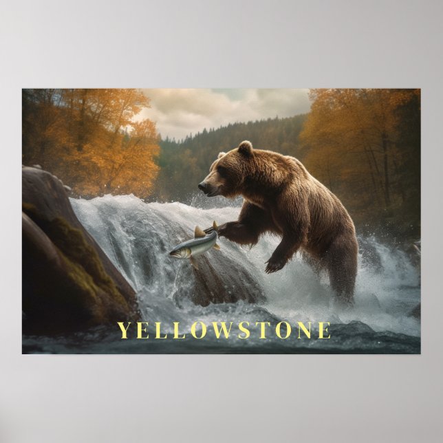 Yellowstone Bear Poster Art  (Front)