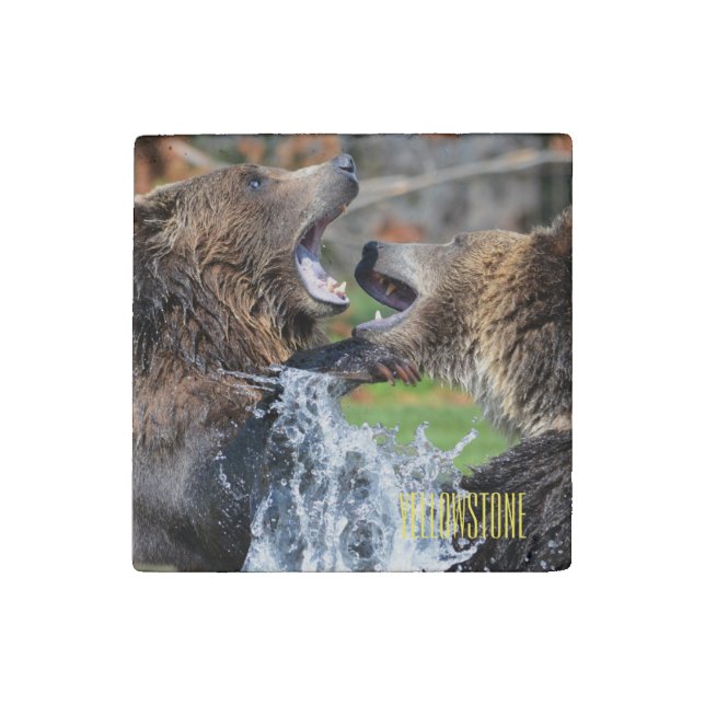 Yellowstone Bear Stone Magnet (Front)