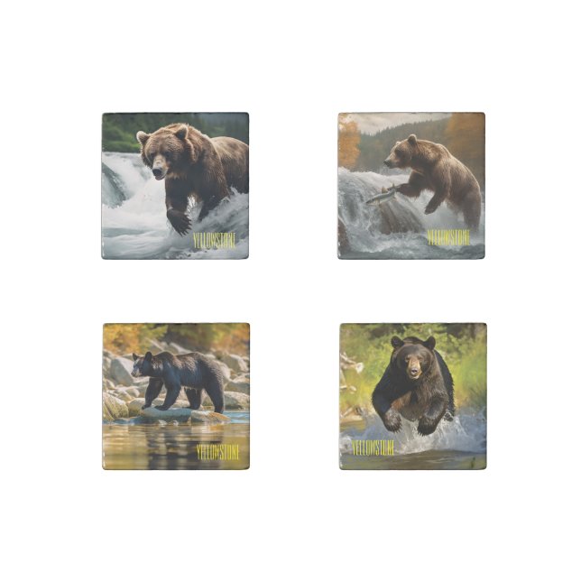 Yellowstone Bear Stone Magnet Set (Front)