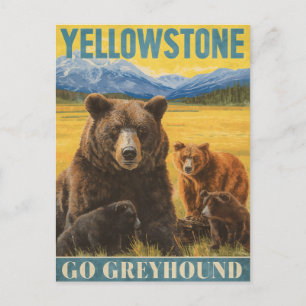 Yellowstone Bears Vintage Travel Postcard