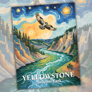 Yellowstone Bird Osprey Van Gogh Starry Night Postcard