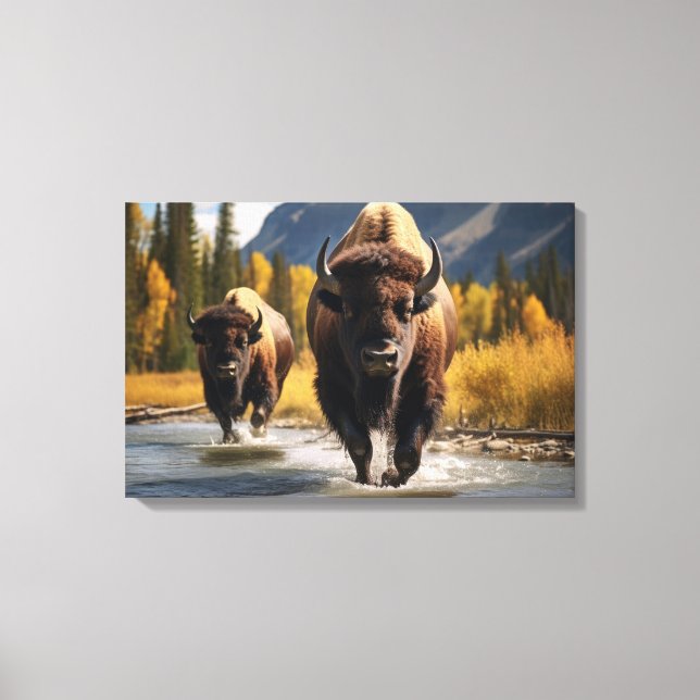   Yellowstone Bison Canvas Art (Front)