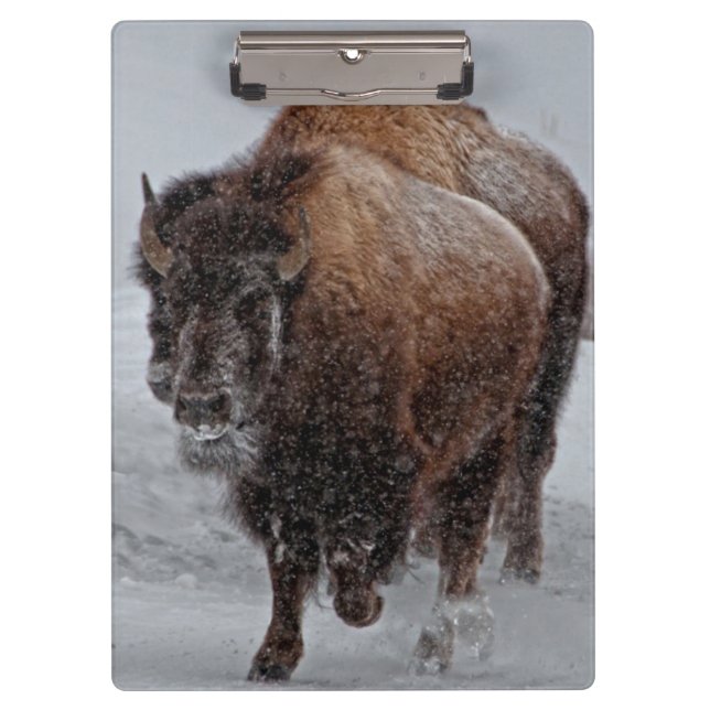 Yellowstone Bison Clipboard (Front)