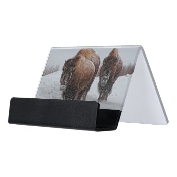 Yellowstone Bison Desk Business Card Holder by usyellowstone at Zazzle