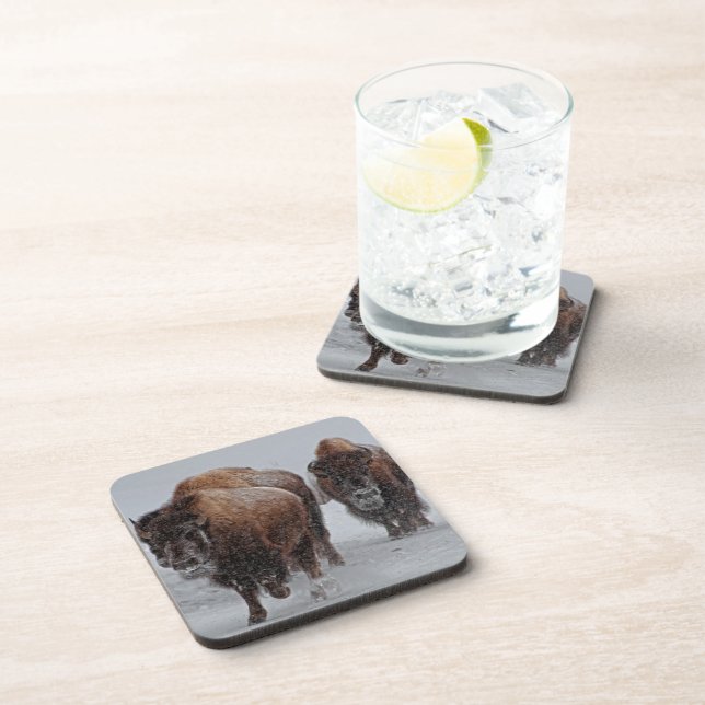 Yellowstone Bison Drink Coaster (Right Side)