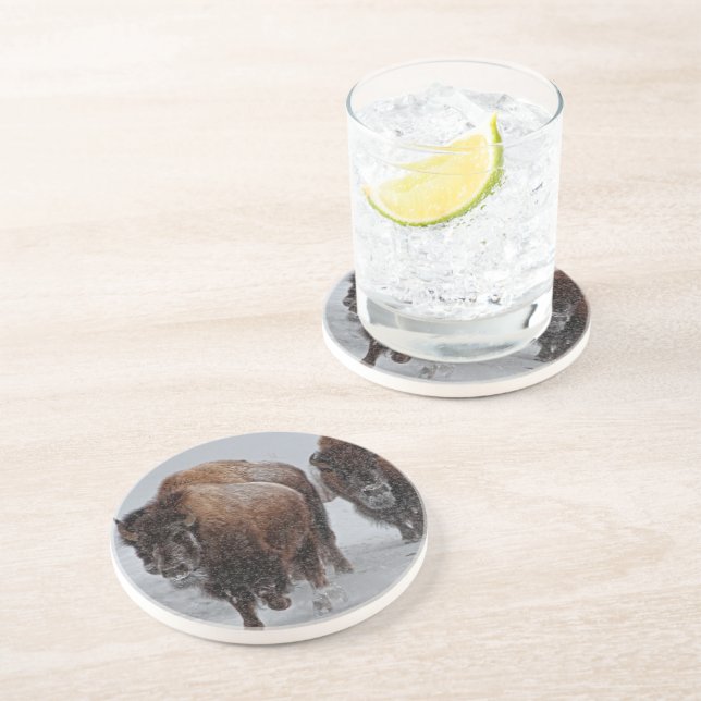 Yellowstone Bison Drink Coaster (Side)