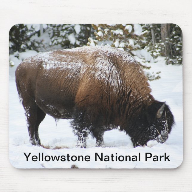 Yellowstone Bison in Winter Mousepad (Front)
