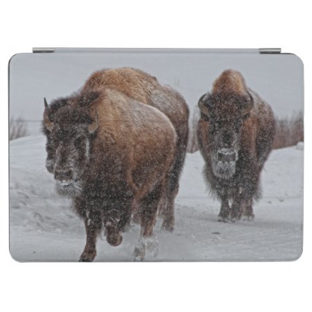Yellowstone Bison Ipad Air Cover
