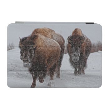 Yellowstone Bison Ipad Mini Cover by usyellowstone at Zazzle
