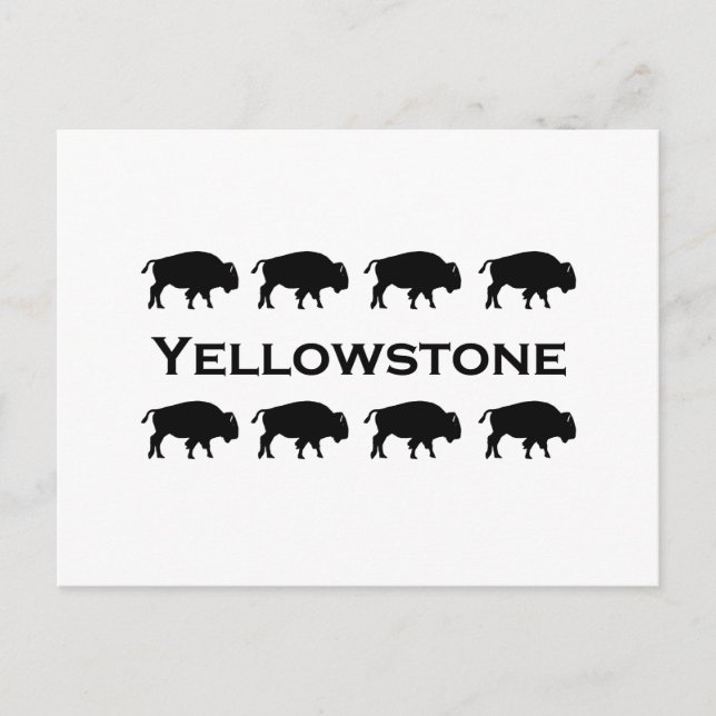 Yellowstone Bison Logo Postcard (Front)