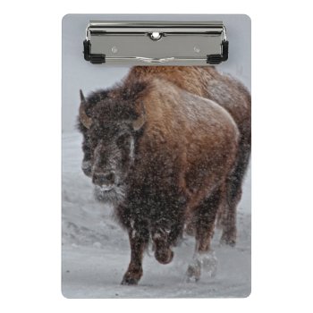 Yellowstone Bison Mini Clipboard by usyellowstone at Zazzle