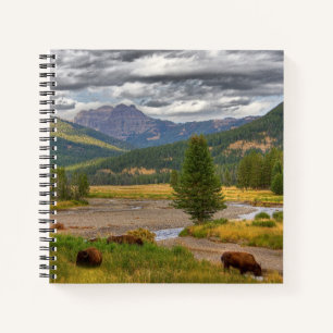 Yellowstone Bison Notebook