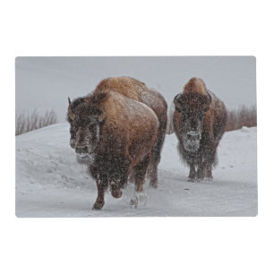 Yellowstone Bison Placemat