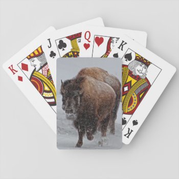Yellowstone Bison Playing Cards by usyellowstone at Zazzle