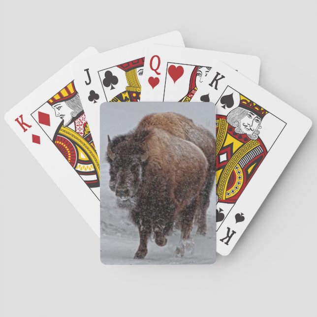 Yellowstone Bison Poker Cards (Back)