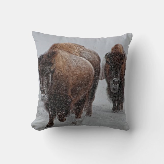 Yellowstone Bison Throw Pillow (Front)