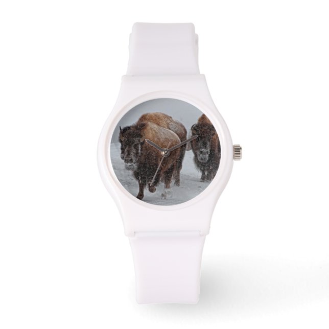 Yellowstone Bison Watch (Front)