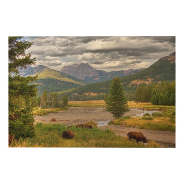 Yellowstone Bison Wood Wall Art (Front)