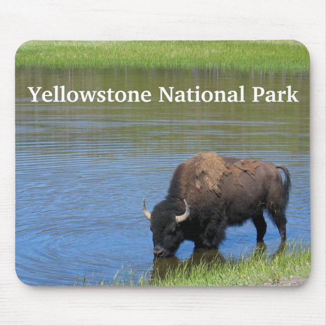 Yellowstone Buffalo in Pond Mouse Pad (Front)