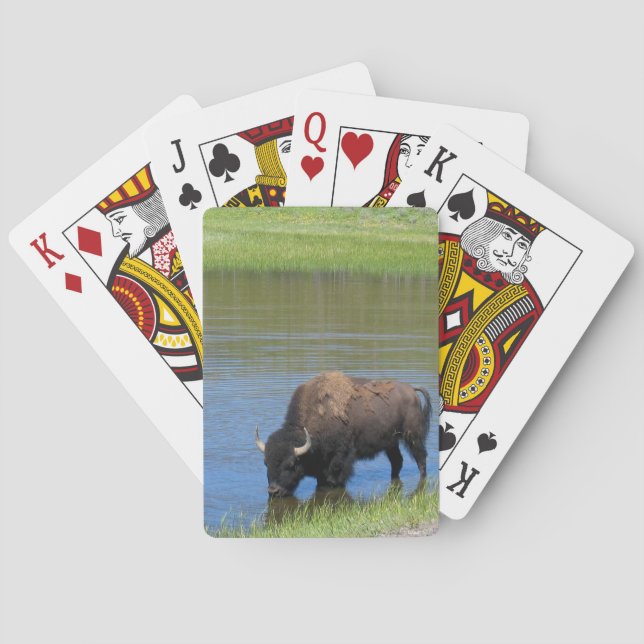 Yellowstone Buffalo Souvenir Poker Cards (Back)