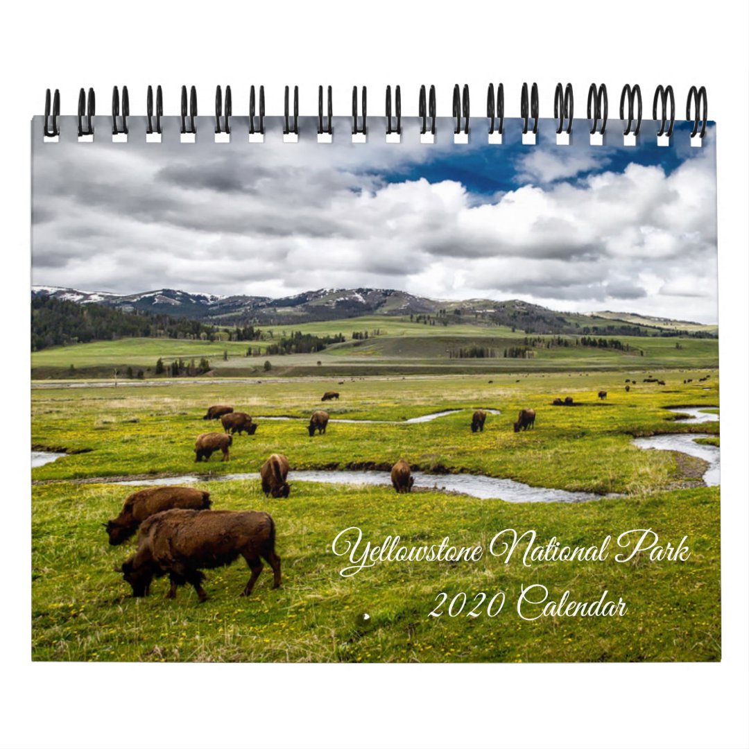 Yellowstone Calendar Zazzle