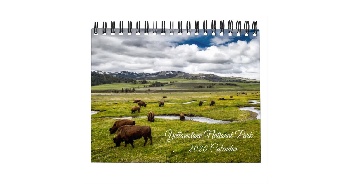 Yellowstone Calendar Zazzle