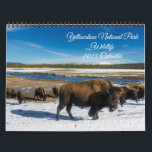 Yellowstone Calendar-Wildlife Calendar<br><div class="desc">This calendar is filled with lovely wildlife photos from the famous and beautiful Yellowstone National Park.
Customize this item or buy as is.




Stock Images</div>