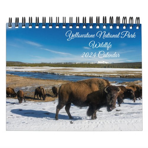 Yellowstone Calendar_Wildlife Calendar