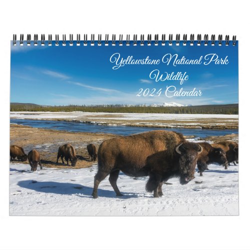 Yellowstone Calendar_Wildlife Calendar