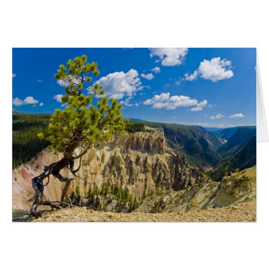 Yellowstone Canyon Edge Cards (Front Horizontal)
