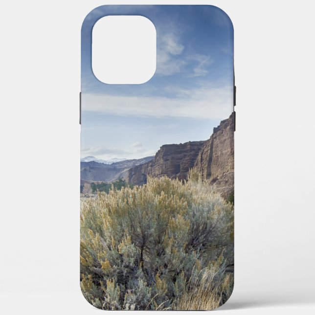 Yellowstone Case-Mate iPhone Case (Back)