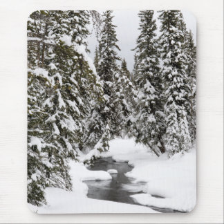 Yellowstone Cold River Flowing Mouse Pad