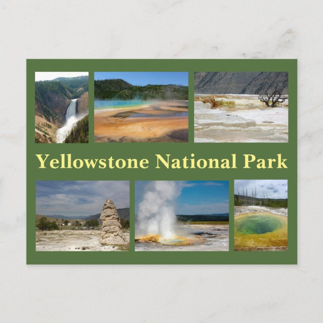 Yellowstone Collage 2 Postcard (Front)
