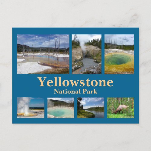 Yellowstone Collage 3 Postcard
