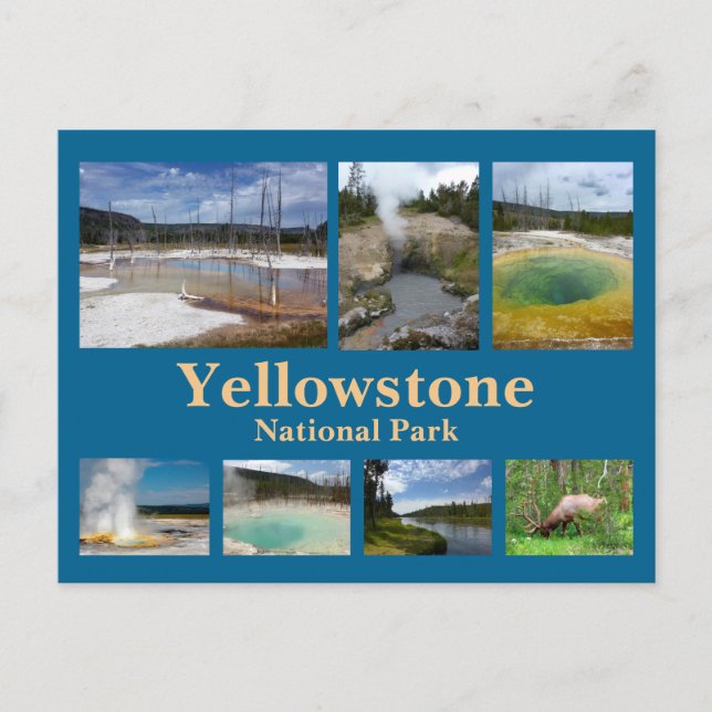 Yellowstone Collage 3 Postcard (Front)
