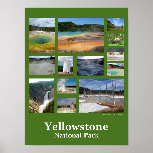 Yellowstone Collage (Portrait) Poster (Front)