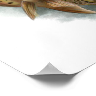 Yellowstone Cutthroat Trout Print