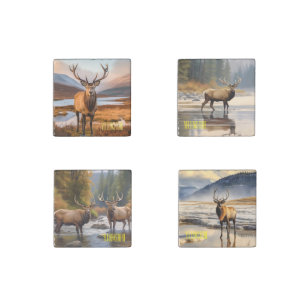 Yellowstone Elk Stone Magnet Set