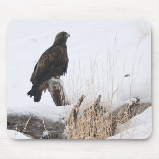 Yellowstone Golden Eagle Mouse Pad