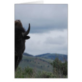 Yellowstone Guardian (Front)