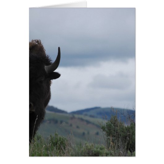 Yellowstone Guardian (Front)