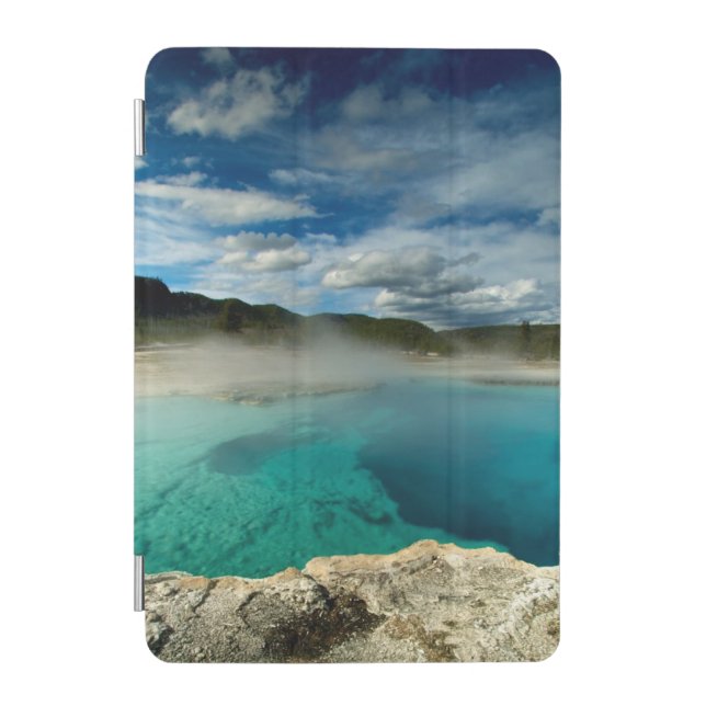 Yellowstone iPad Mini Cover (Front)