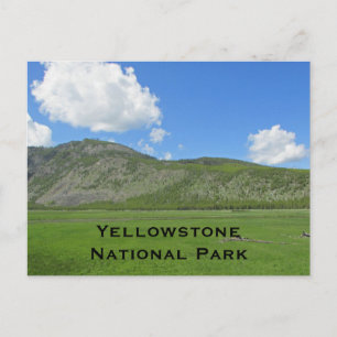 Yellowstone Landscape Photo Mountain National Park Postcard